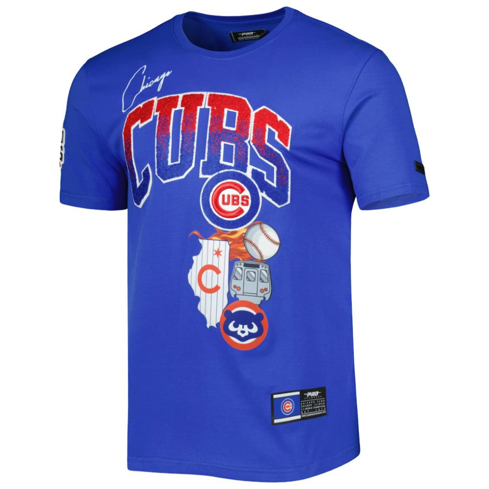 Chicago Cubs Pro Standard Hometown T-Shirt - Royal T-shirts
