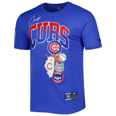 Chicago Cubs Pro Standard Hometown T-Shirt - Royal T-shirts