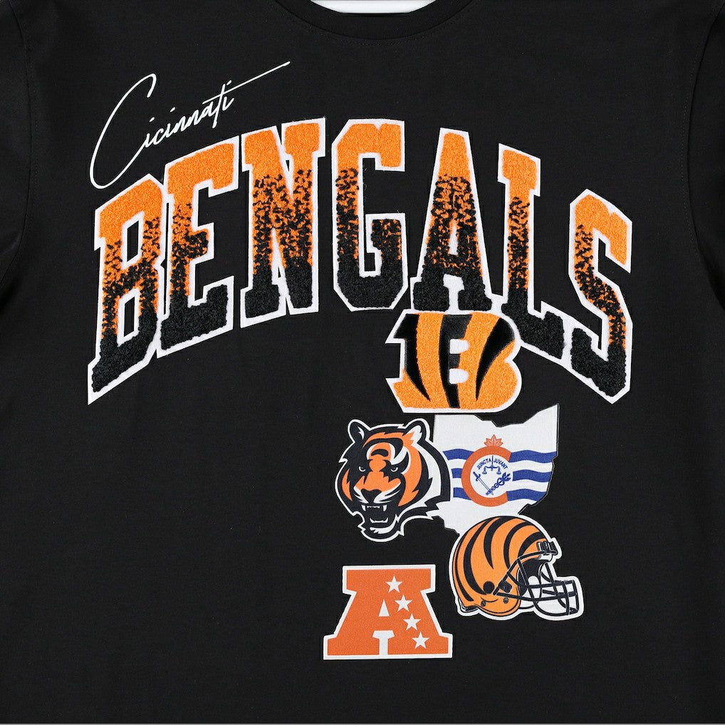 Cincinnati Bengals Pro Standard Hometown Collection T-Shirt Black