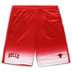 Chicago Bulls Big & Tall Fadeaway Shorts Red