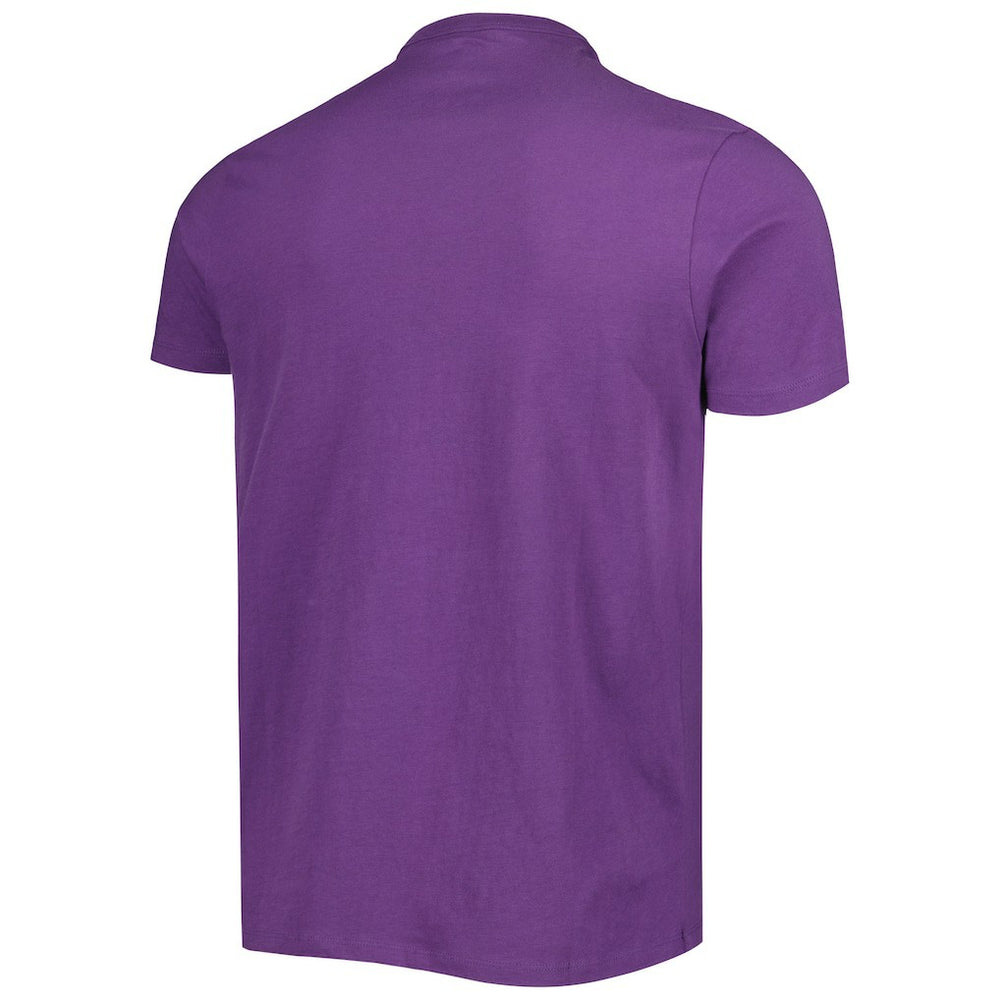 Minnesota Vikings '47 All Arch Franklin T-Shirt Purple