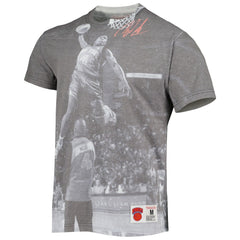 Nate Robinson New York Knicks Above The Rim T-Shirt Gray