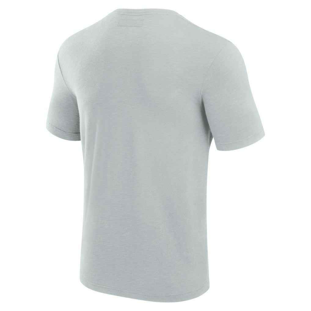 Miami Dolphins Modal Short Sleeve T-Shirt Gray