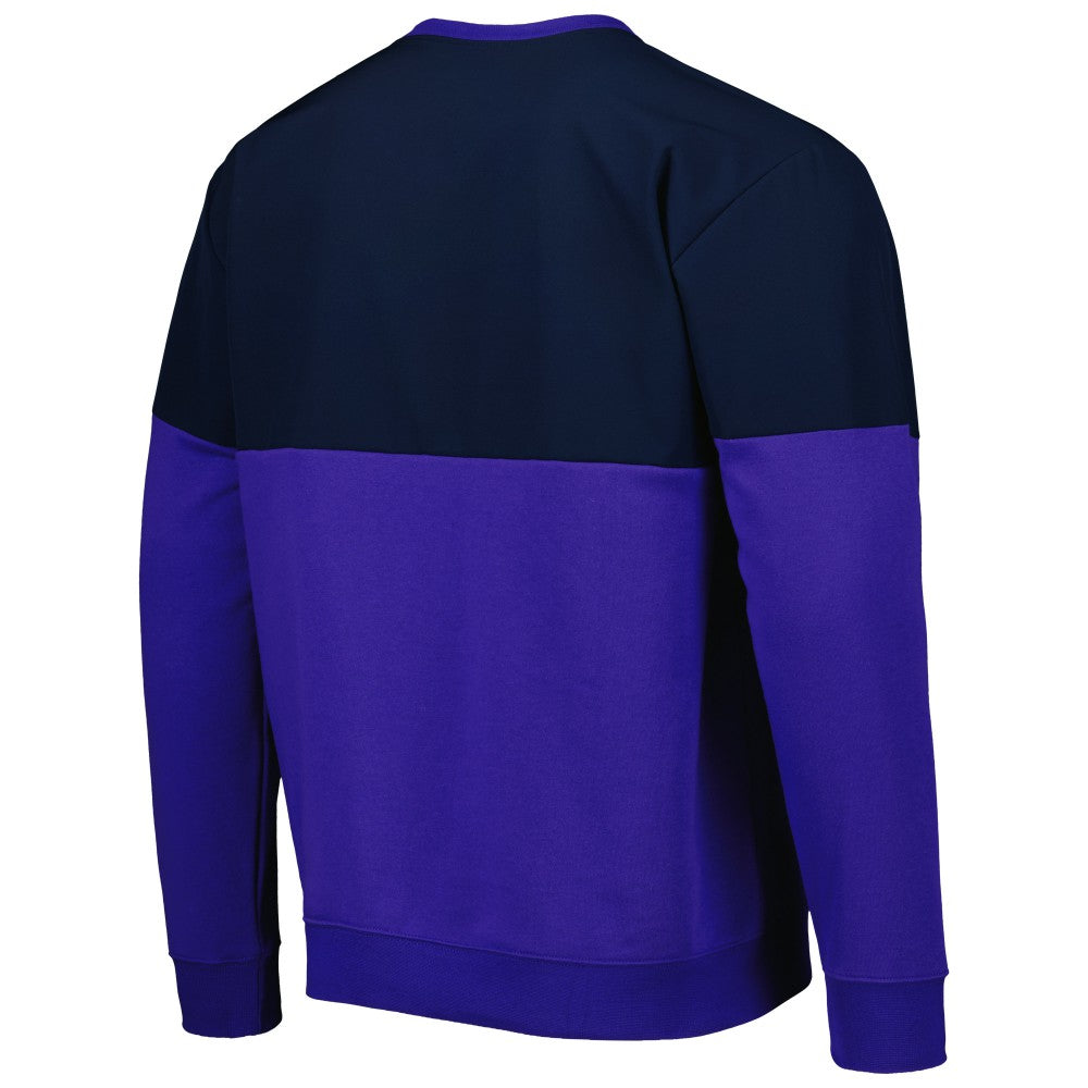 Argentina National Team Graphic Pullover Sweatshirt Navy/Purple sale