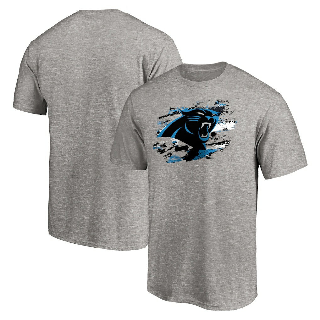 Carolina Panthers True Color T-Shirt Heather Gray