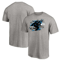 Carolina Panthers True Color T-Shirt Heather Gray