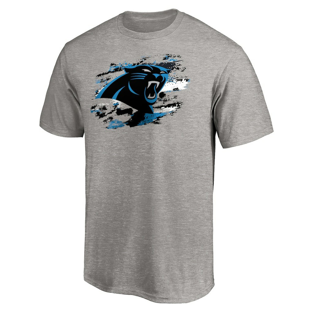 Carolina Panthers True Color T-Shirt Heather Gray