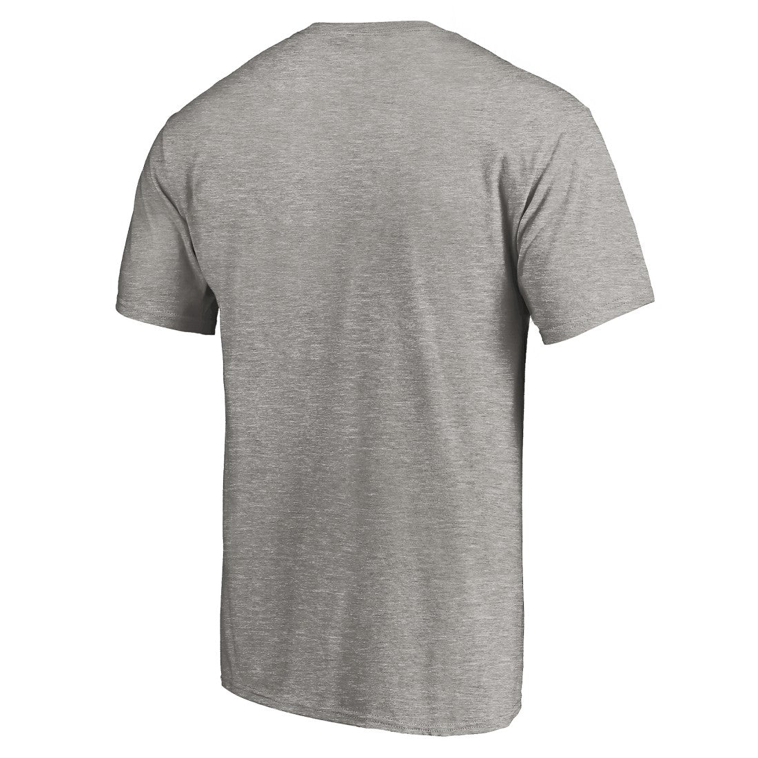 Detroit Lions True Color T-Shirt Heather Gray