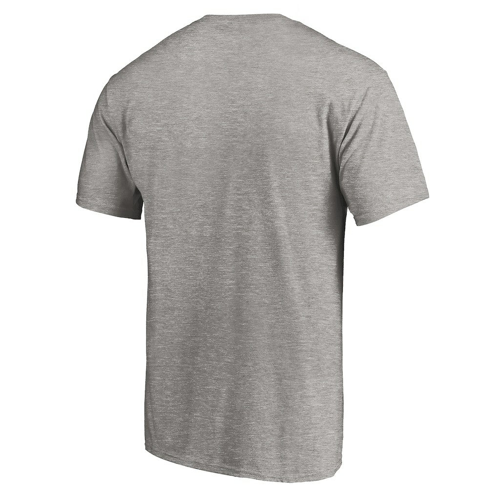 Philadelphia Eagles True Color T-Shirt Heather Gray