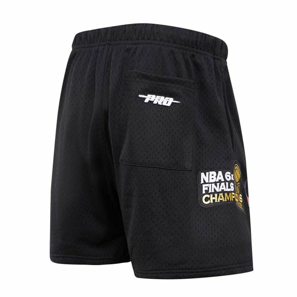 Chicago Bulls Pro Standard City Scape Mesh Shorts Black