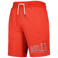 Chicago Bulls Tommy Jeans Mike Mesh Basketball Shorts Red