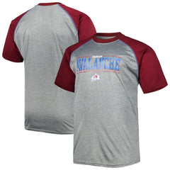 NHL Colorado Avalanche Big & Tall Logo Raglan T-Shirt - Heather Gray