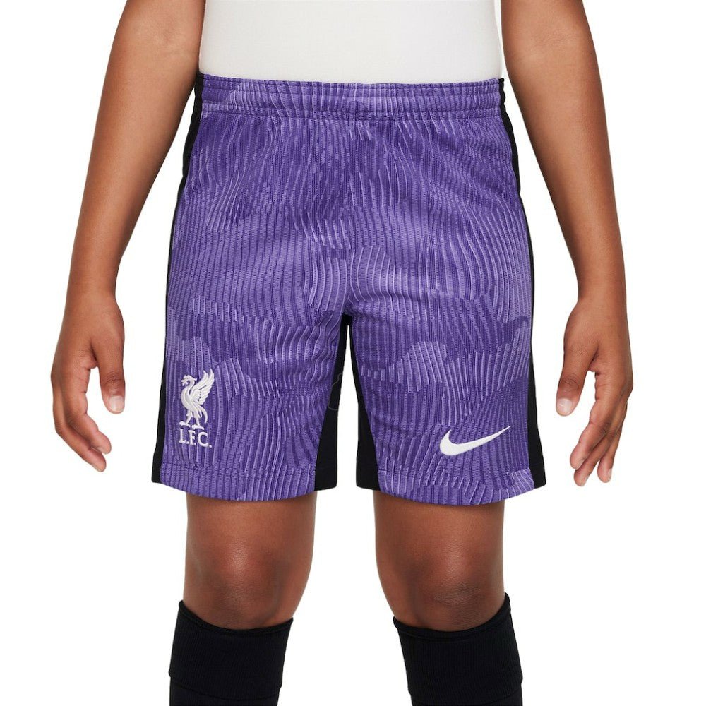 Liverpool Youth 2023/24 Third Stadium Performance Shorts Purple