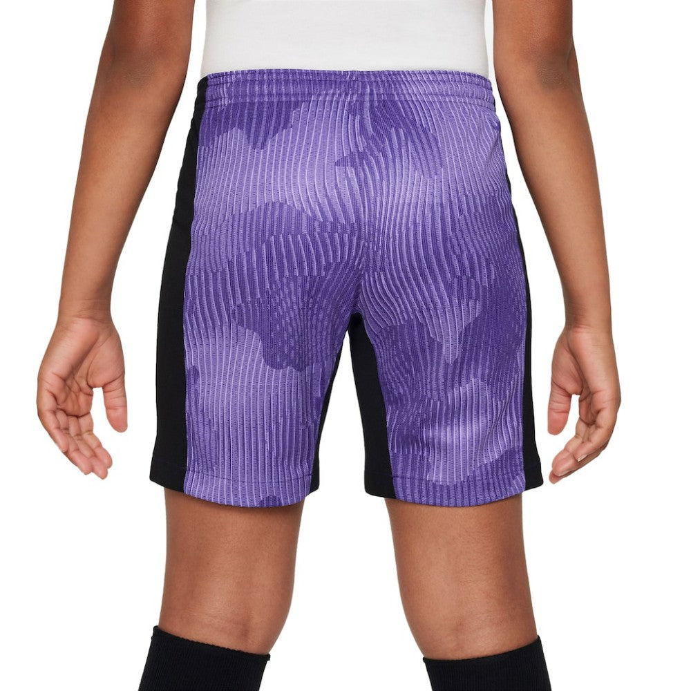 Liverpool Youth 2023/24 Third Stadium Performance Shorts Purple