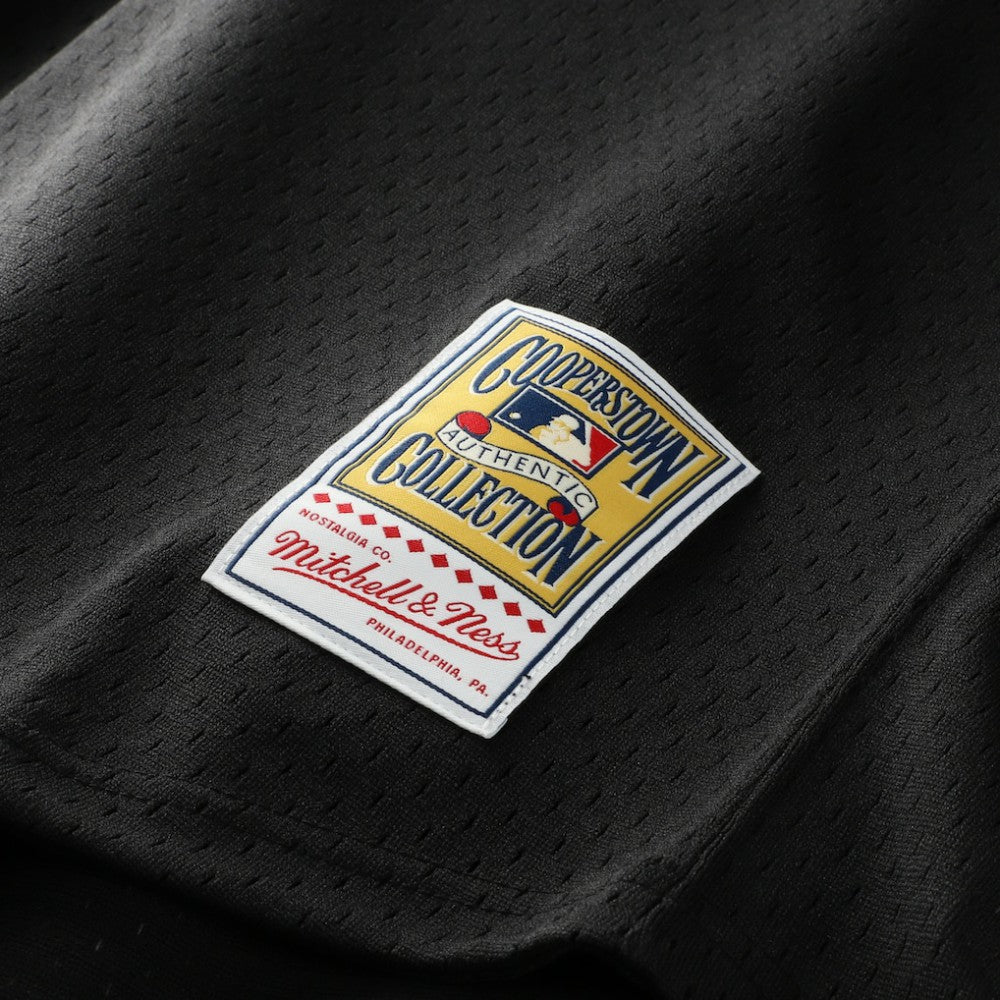 Craig Biggio Houston Astros Mitchell & Ness Authentic Batting Practice Jersey - Black Jerseys