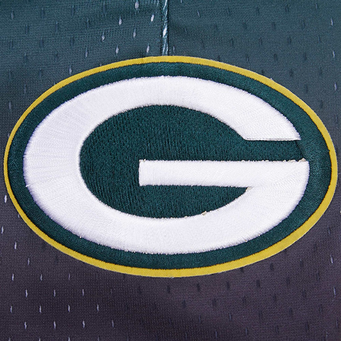 Green Bay Packers Pro Standard Ombre Mesh Shorts Black/Green