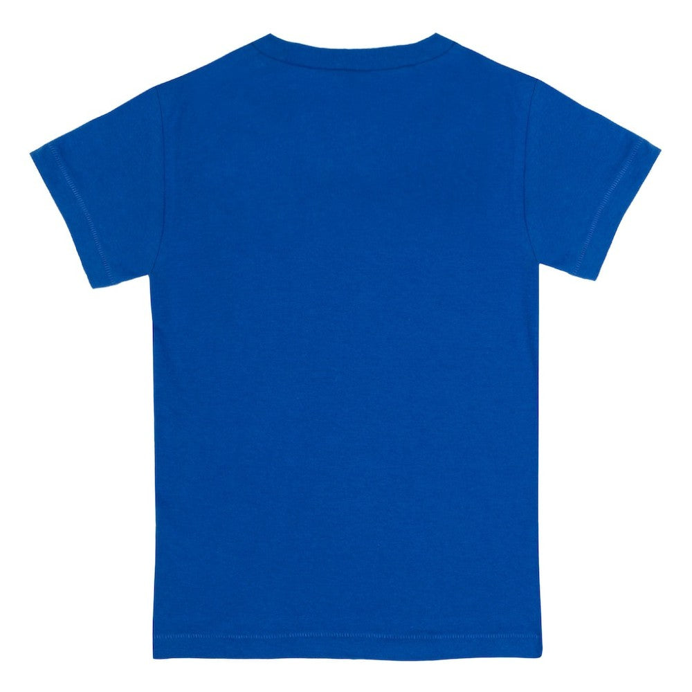 Chicago Cubs Tiny Turnip Youth Baseball Cross Bats T-Shirt - Royal T-shirts