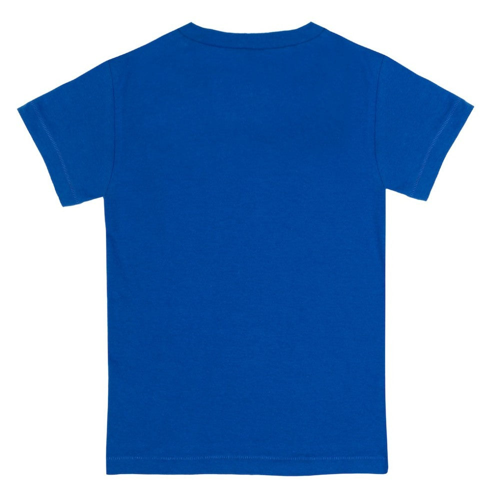 Chicago Cubs Tiny Turnip Youth Bronto T-Shirt - Royal T-shirts