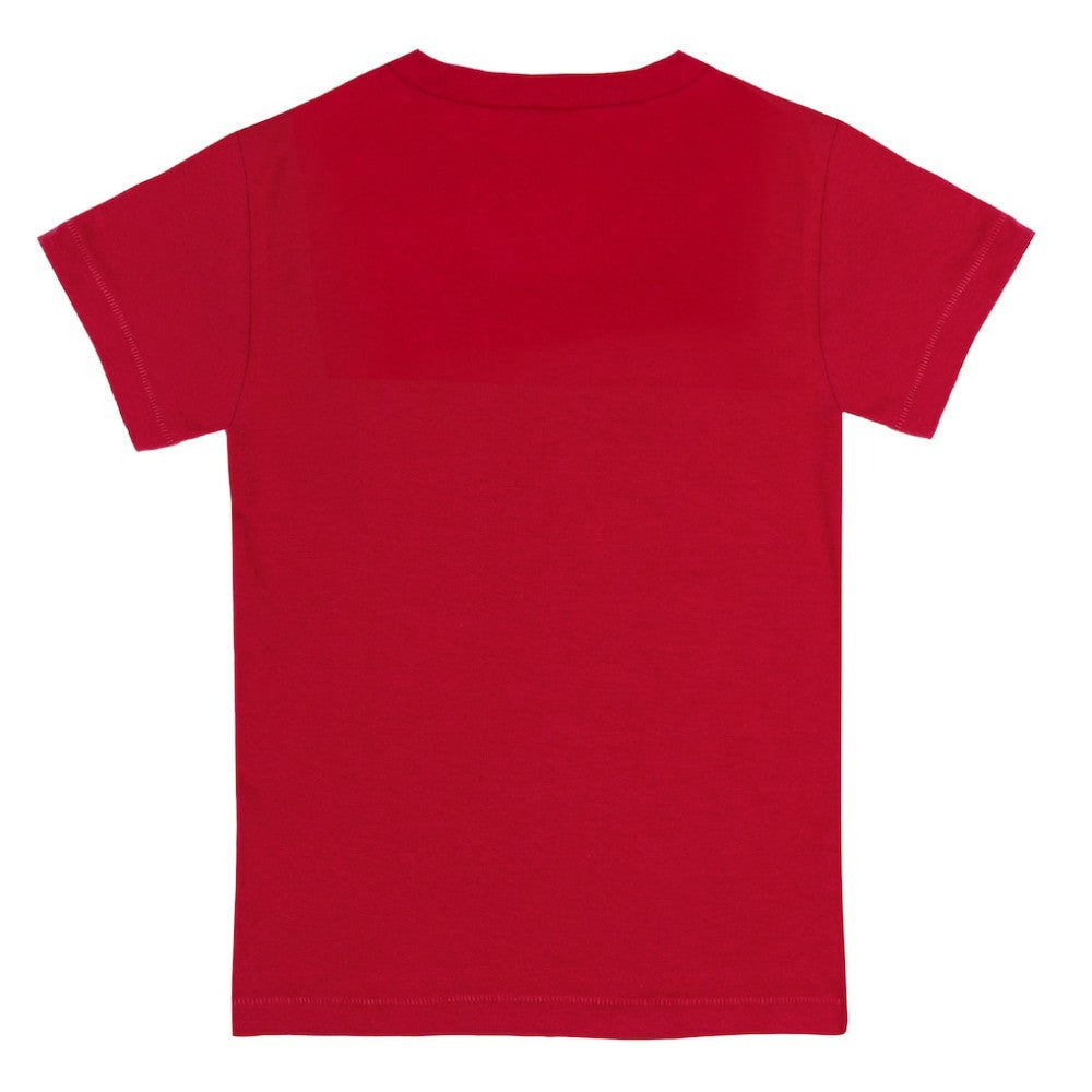 Boston Red Sox Tiny Turnip Youth Bronto T-Shirt - Red T-shirts