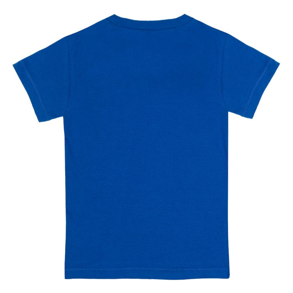 Chicago Cubs Tiny Turnip Youth Hot Bats T-Shirt - Royal T-shirts