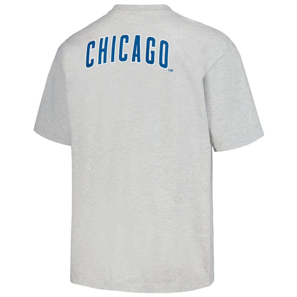 Chicago Cubs PLEASURES Mascot T-Shirt - Gray T-shirts