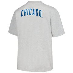 Chicago Cubs PLEASURES Mascot T-Shirt - Gray T-shirts