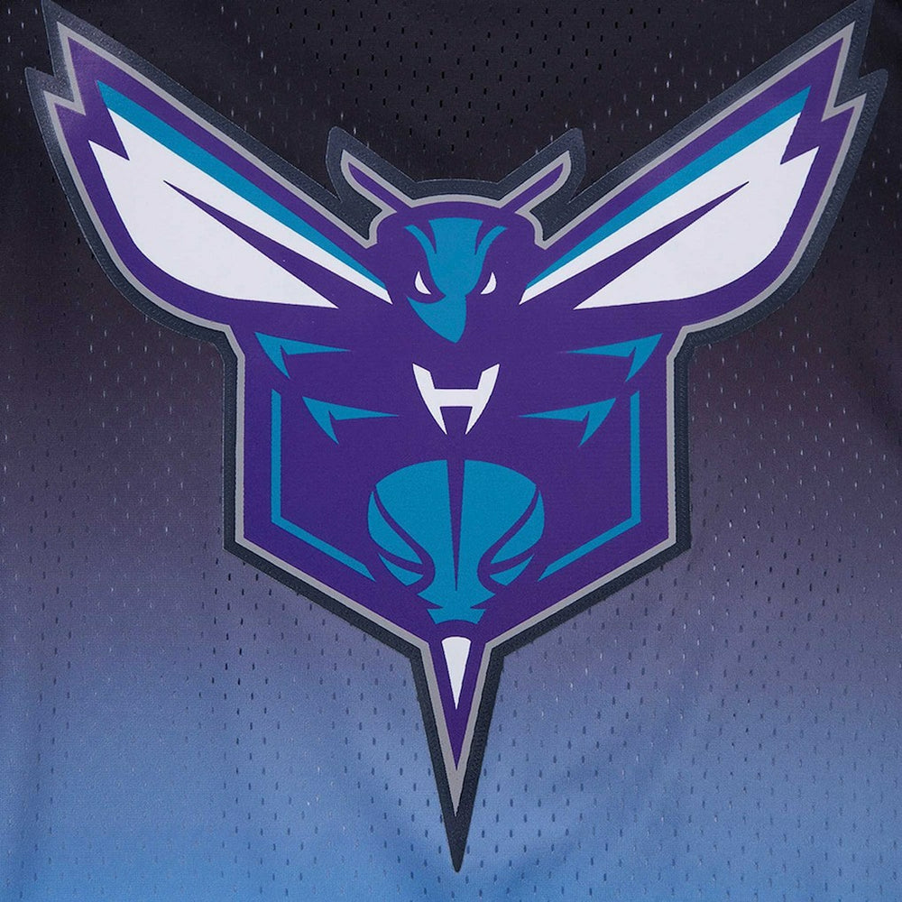 LaMelo Ball Charlotte Hornets Post Ombre Name & Number T-Shirt Navy/Blue