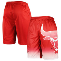 Chicago Bulls Graphic Shorts Red