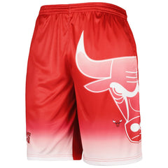Chicago Bulls Graphic Shorts Red