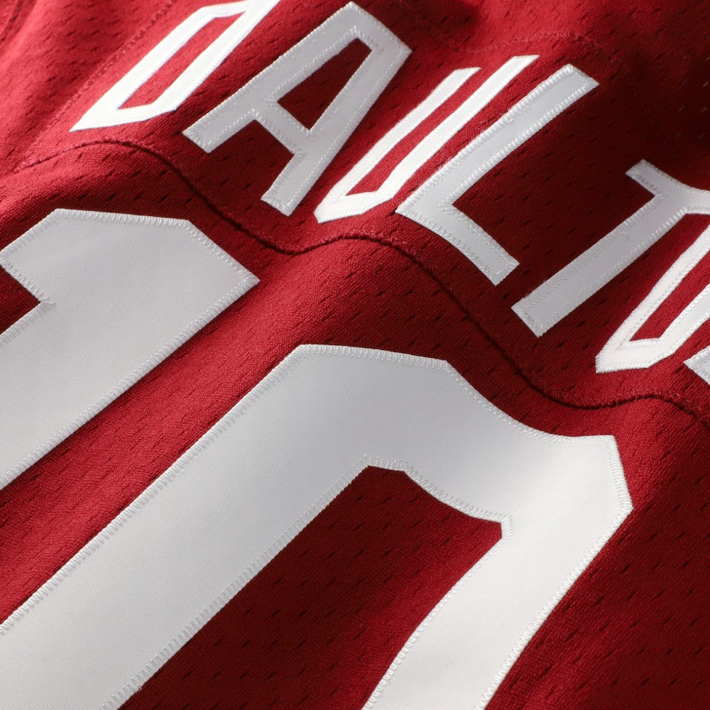 Darren Daulton Philadelphia Phillies Mitchell & Ness Authentic Batting Practice Jersey - Scarlet Jerseys