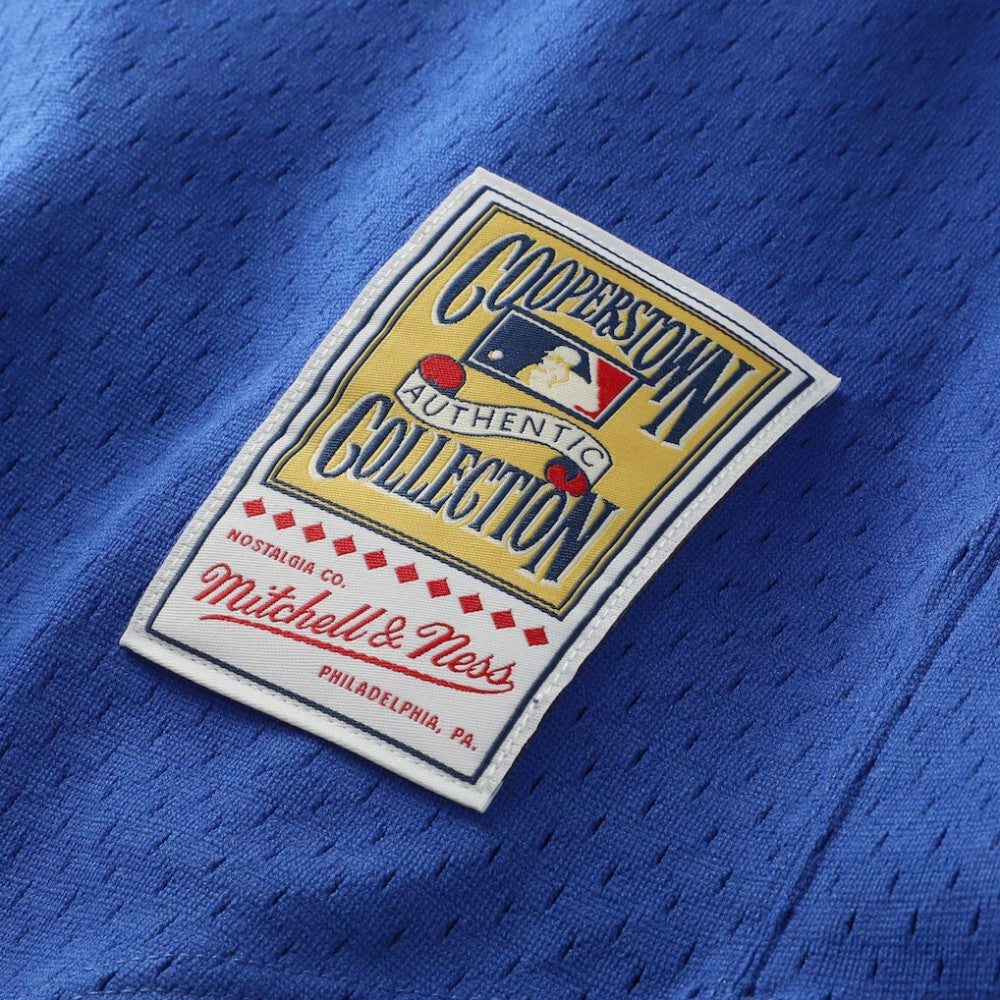 Nolan Ryan Texas Rangers Mitchell & Ness Authentic Batting Practice Jersey - Royal Jerseys