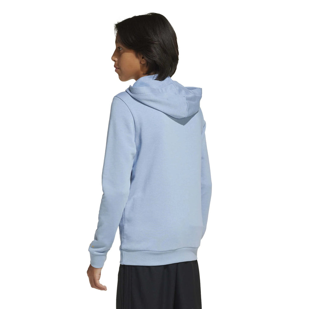 Adidas 2025-26 Argentina Youth Anniversary DNA Soccer Hoodie Ambient Sky / Cloud White